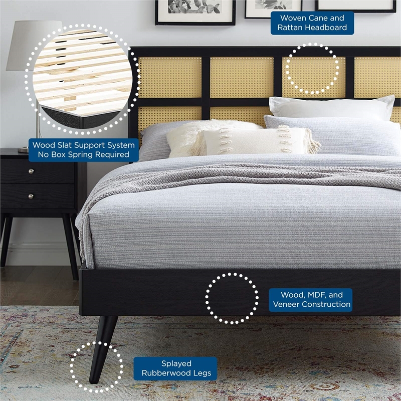 Modway Sidney Cane Rattan and Wood Queen Platform Bed with Splayed Legs in Black