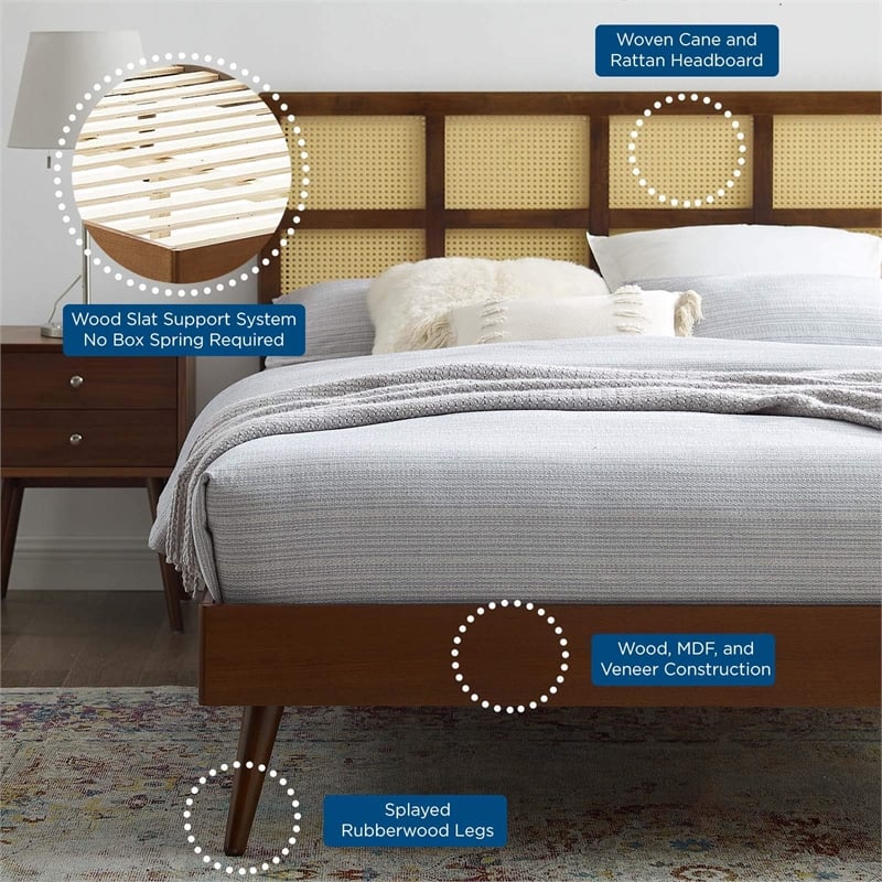 Modway Sidney Cane Rattan and Wood Queen Platform Bed with Splayed Legs - Walnut