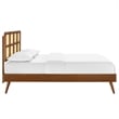 Modway Sidney Cane Rattan and Wood Queen Platform Bed with Splayed Legs - Walnut