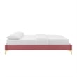 Modway Sutton Full Modern Performance Velvet Bed Frame in Dusty Rose
