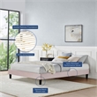 Modway Reign Twin Performance Velvet Platform Bed Frame in Pink