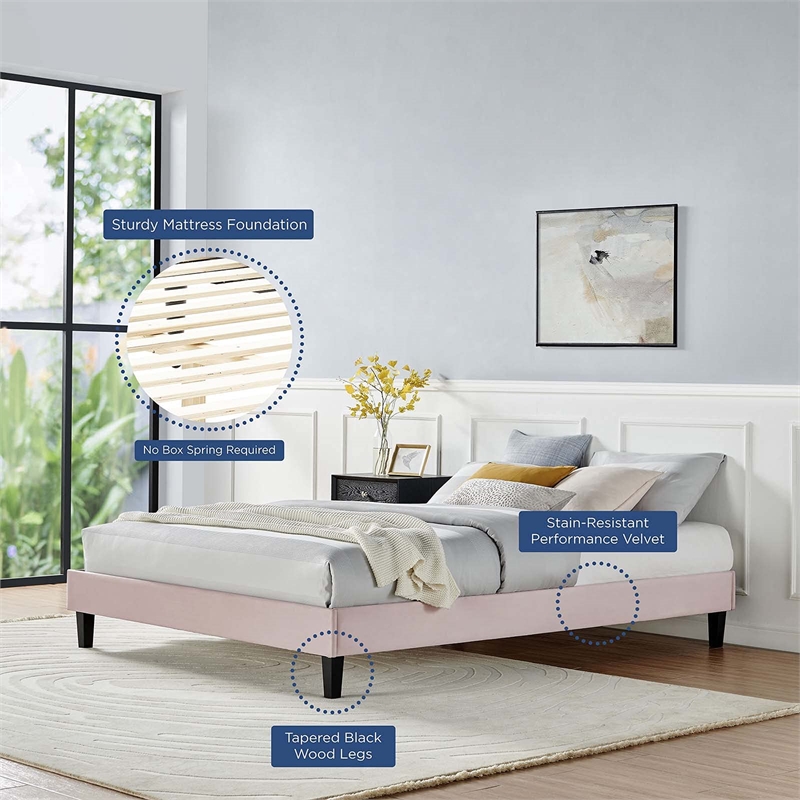 Modway Reign Queen Performance Velvet Platform Bed Frame in Pink