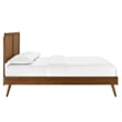 Modway Alana Queen Modern Wood Platform Bed with Splayed Legs in Walnut