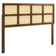 Modway Luana Cane Rattan and Rubberwood Full Headboard in Walnut