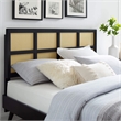 Modway Luana Cane Rattan and Rubberwood King Headboard in Black
