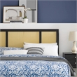 Modway Delmare Cane Rattan and Rubberwood Full Headboard in Black