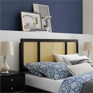 Modway Delmare Cane Rattan and Rubberwood Full Headboard in Black