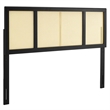 Modway Delmare Cane Rattan and Rubberwood Full Headboard in Black