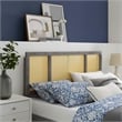 Modway Delmare Cane Rattan and Rubberwood Full Headboard in Gray
