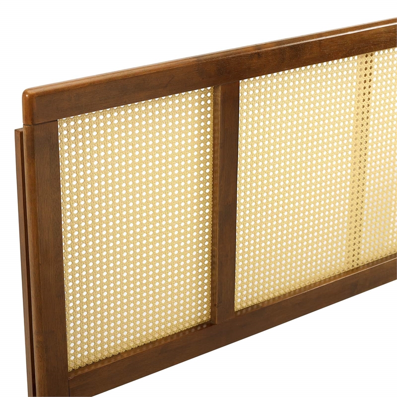Modway Delmare Cane Rattan and Rubberwood Full Headboard in Walnut