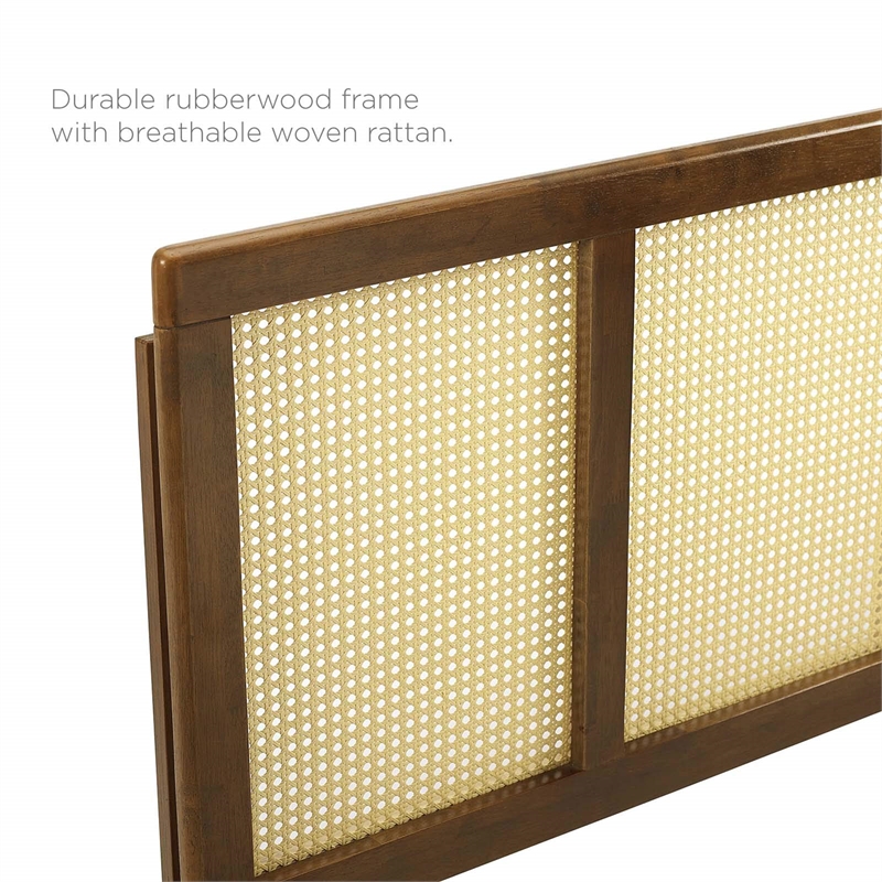 Modway Delmare Cane Rattan and Rubberwood Full Headboard in Walnut