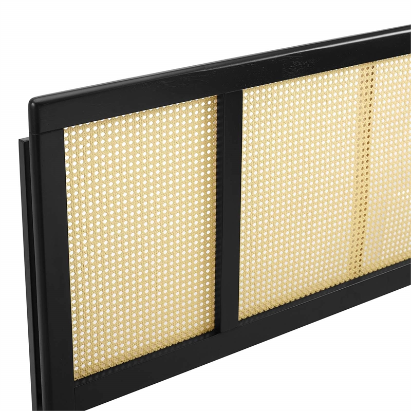 Modway Delmare Cane Rattan and Rubberwood King Headboard in Black