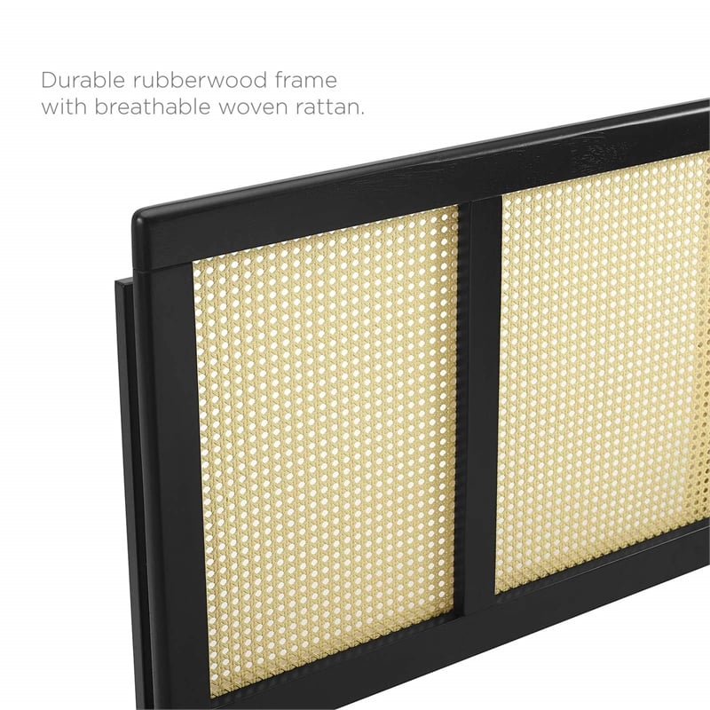 Modway Delmare Cane Rattan and Rubberwood King Headboard in Black