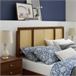 Modway Delmare Cane Rattan and Rubberwood King Headboard in Walnut