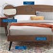 Modway Bronwen Queen Rubberwood and MDF Wood Platform Bed in Walnut