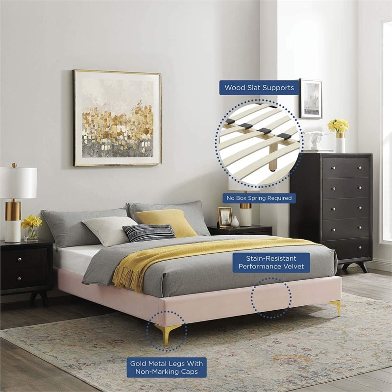 Modway Sutton Queen Modern Performance Velvet Bed Frame in Pink