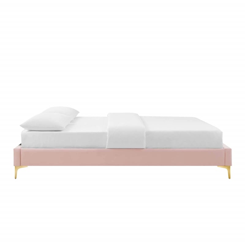 Modway Sutton Queen Modern Performance Velvet Bed Frame in Pink
