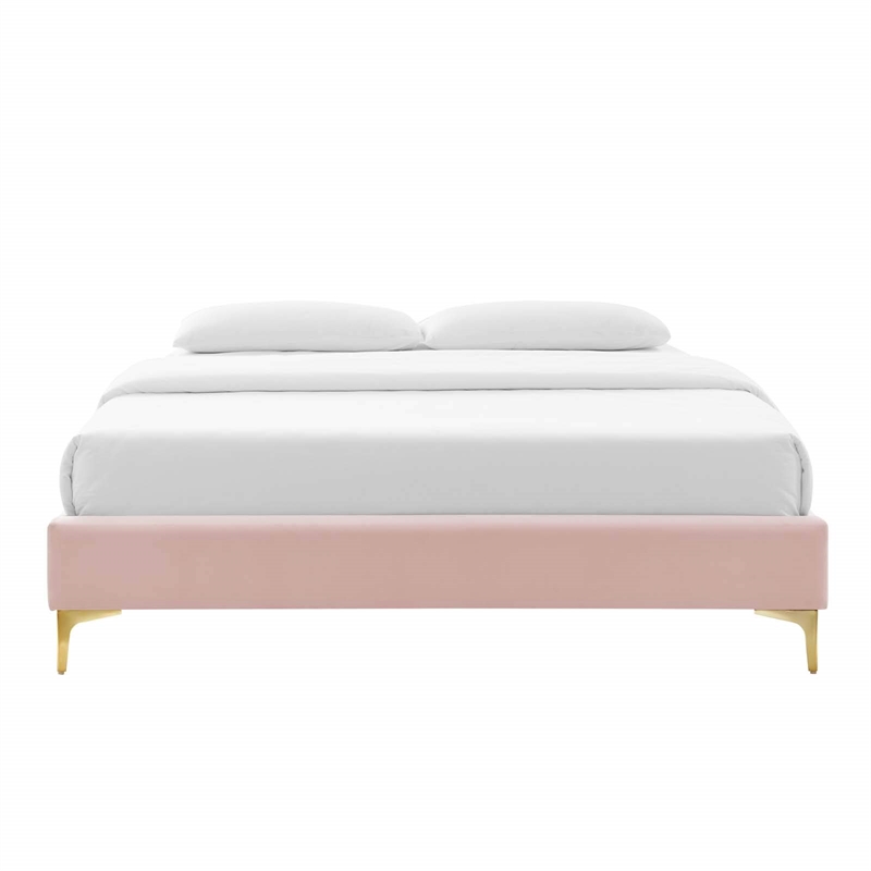 Modway Sutton Queen Modern Performance Velvet Bed Frame in Pink