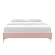 Modway Sutton Twin Modern Performance Velvet Bed Frame in Pink