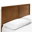 Modway Marlee Queen Wood Platform Bed with Splayed Legs in Walnut
