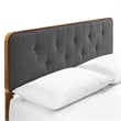 Modway Bridgette Queen Wood Platform Bed with Angular Frame in Walnut/Charcoal