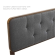 Modway Bridgette Queen Wood Platform Bed with Splayed Legs in Walnut/Charcoal