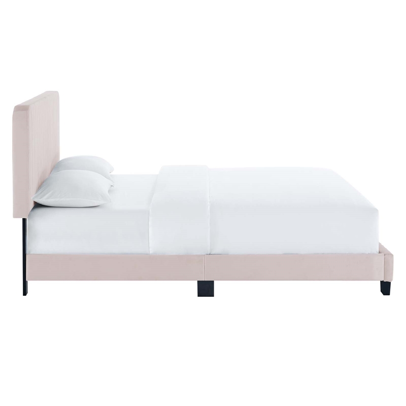 Modway Celine Channel Tufted Performance Velvet Queen Platform Bed in Pink