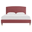 Modway Alessi Modern Performance Velvet Queen Platform Bed in Dusty Rose