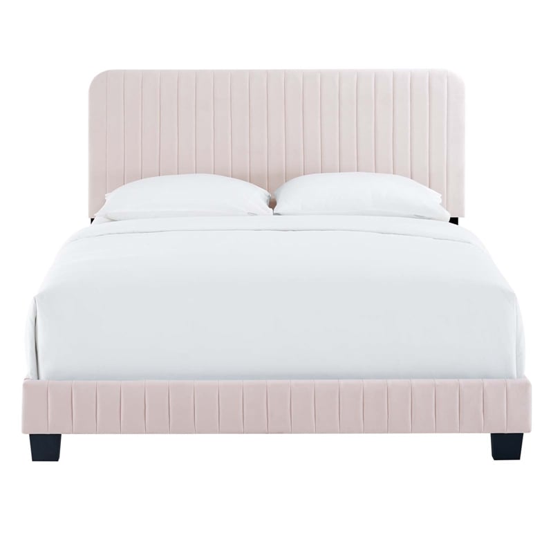 Modway Celine Channel Tufted Performance Velvet Full Platform Bed in Pink