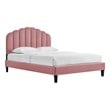 Modway Daisy Modern Performance Velvet Queen Platform Bed in Dusty Rose