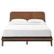 Modway Dylan Modern Style MDF Wood Queen Platform Bed in Walnut