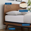 Modway Dylan Modern Style MDF Wood Queen Platform Bed in Walnut