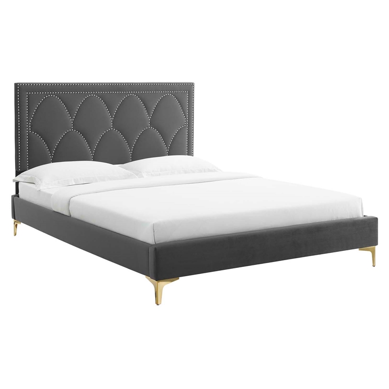 Modway Kendall Velvet Queen Platform Bed with Gold Legs in Charcoal