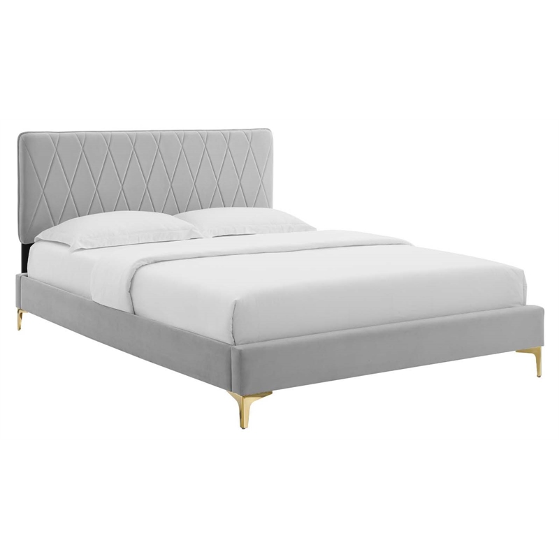 Modway Phillipa Velvet Queen Platform Bed with Gold Legs in Light Gray