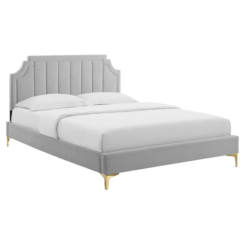 Modway Sienna Velvet Queen Platform Bed with Gold Legs in Light Gray