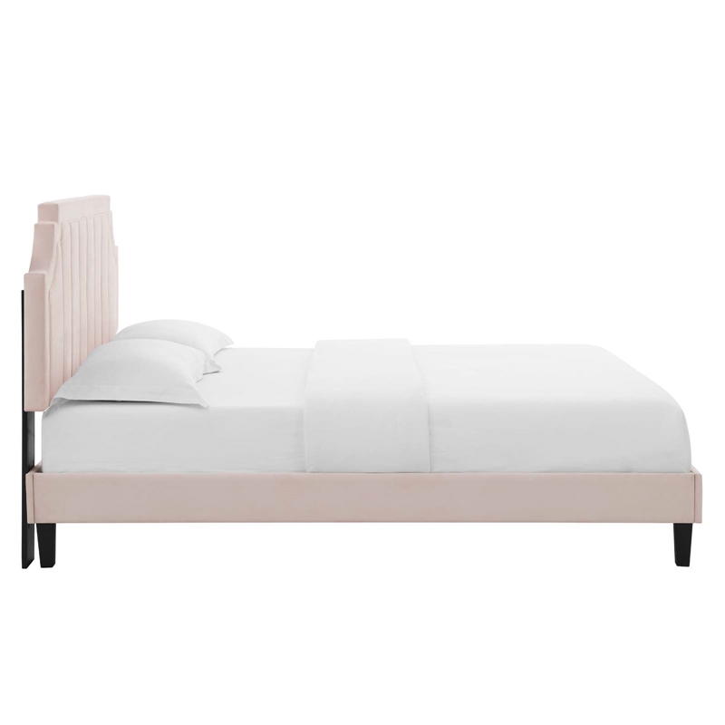 Modway Sienna Modern Performance Velvet Queen Platform Bed in Pink
