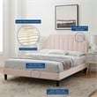 Modway Sienna Modern Performance Velvet Queen Platform Bed in Pink