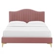 Modway Juniper Channel Tufted Velvet Queen Platform Bed in Dusty Rose