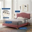 Modway Juniper Channel Tufted Velvet Queen Platform Bed in Dusty Rose