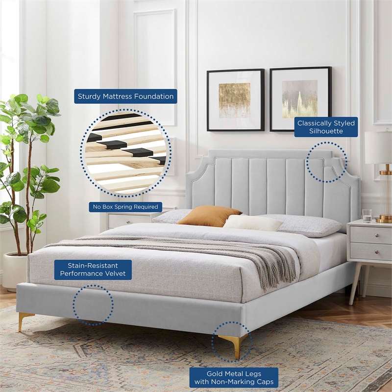 Modway Sienna Performance Velvet Twin Platform Bed in Light Gray