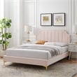 Modway Sienna Modern Performance Velvet Twin Platform Bed - Pink