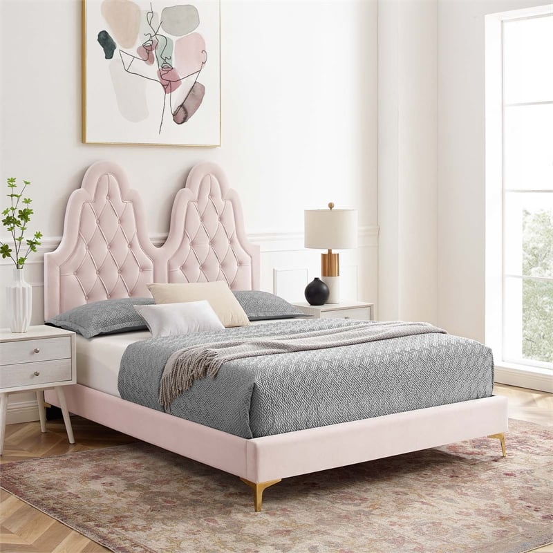 Modway Alexandria Tufted Performance Velvet Twin Platform Bed - Pink