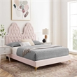 Modway Alexandria Tufted Performance Velvet Twin Platform Bed - Pink