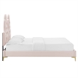 Modway Alexandria Tufted Performance Velvet Twin Platform Bed - Pink