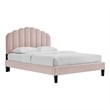 Modway Daisy Modern Performance Velvet Twin Platform Bed in Pink