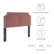 Modway Cynthia Performance Velvet King/California King Headboard in Dusty Rose