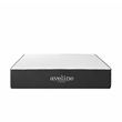Modway Aveline 12