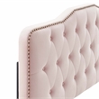 Modway Sophia Tufted Performance Velvet Twin Headboard in Pink