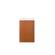 Modway Scenic Bathroom Vanity in Cherry White