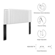 Modway Felicity Channel Tufted Velvet Full/Queen Headboard in White